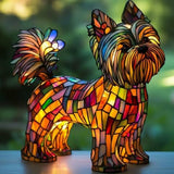 Yorkshire Terrier Radiant